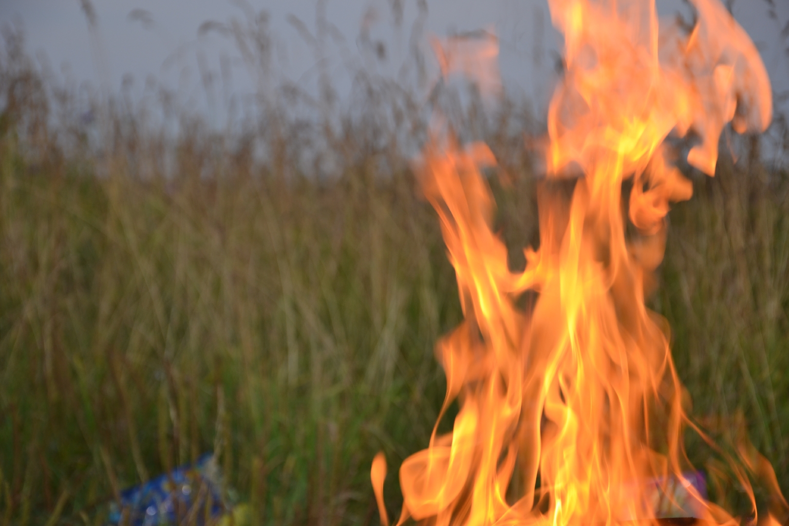 Фотогалерея