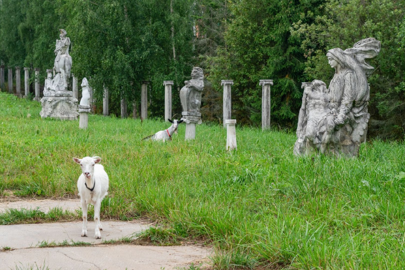 Тестовый материал (Заголовок)